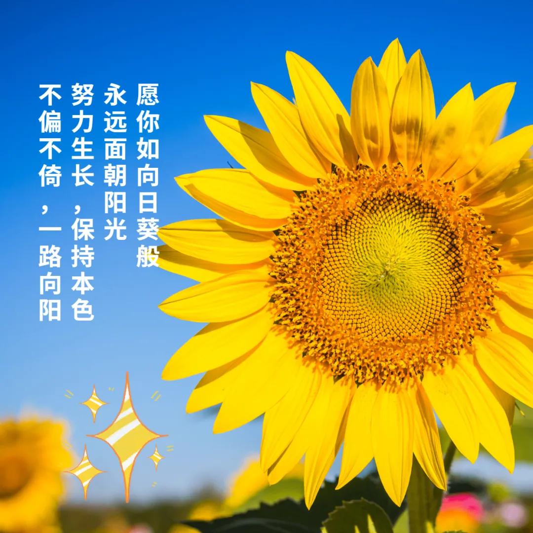精选语录回顾，蜕变成长与无限可能——我的朋友圈故事 2017年度回顾