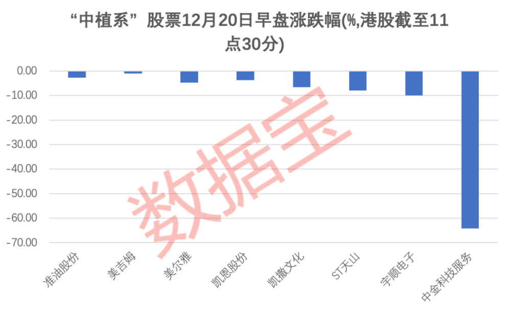 今日新股上市交易，市场机遇与挑战并存