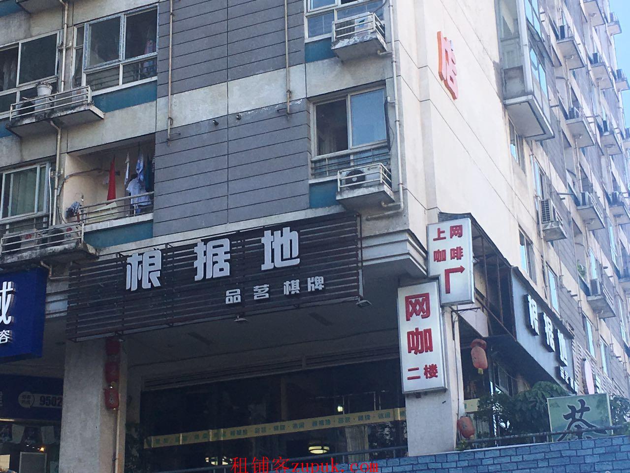 成都茶坊转让信息详解，深度探讨与观点阐述