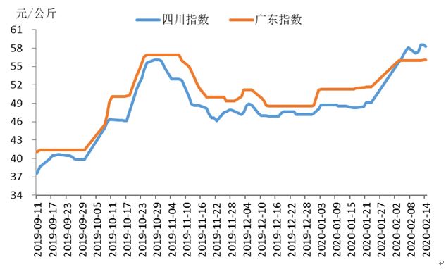 猪肉价格走势图背后的故事与温情