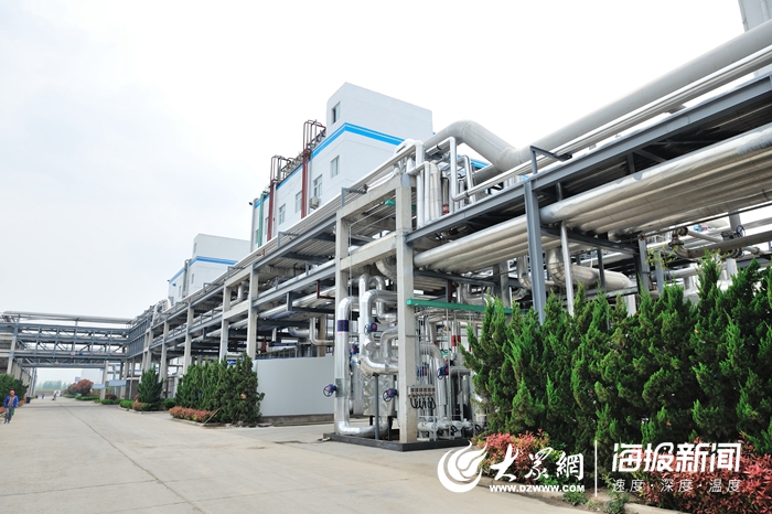 定陶赛托生物上市，变化中的学习成就自信与辉煌