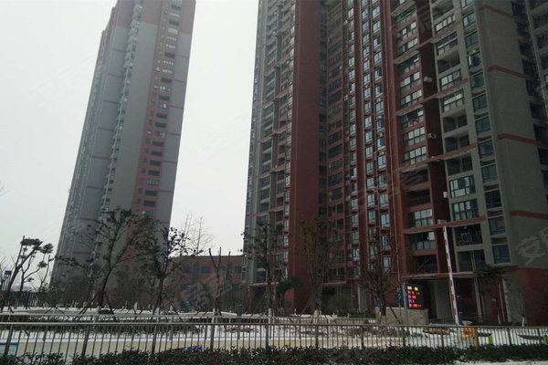 健龙果岭公元最新动态更新，最新消息汇总