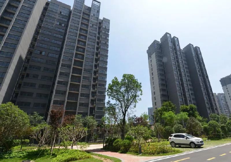 福州胪雷新城最新动态，探索自然美景，寻觅内心平静之旅