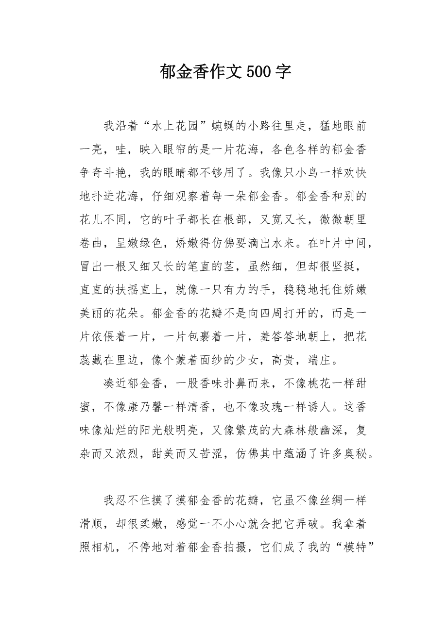 我的郁金香女友最新章节，情感与成长的交织旅程